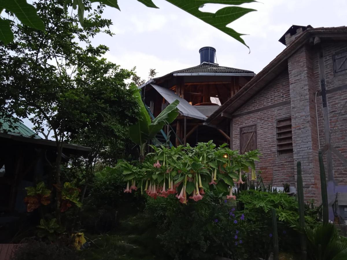 Punto Verde Ecological House Монтаньита Экстерьер фото